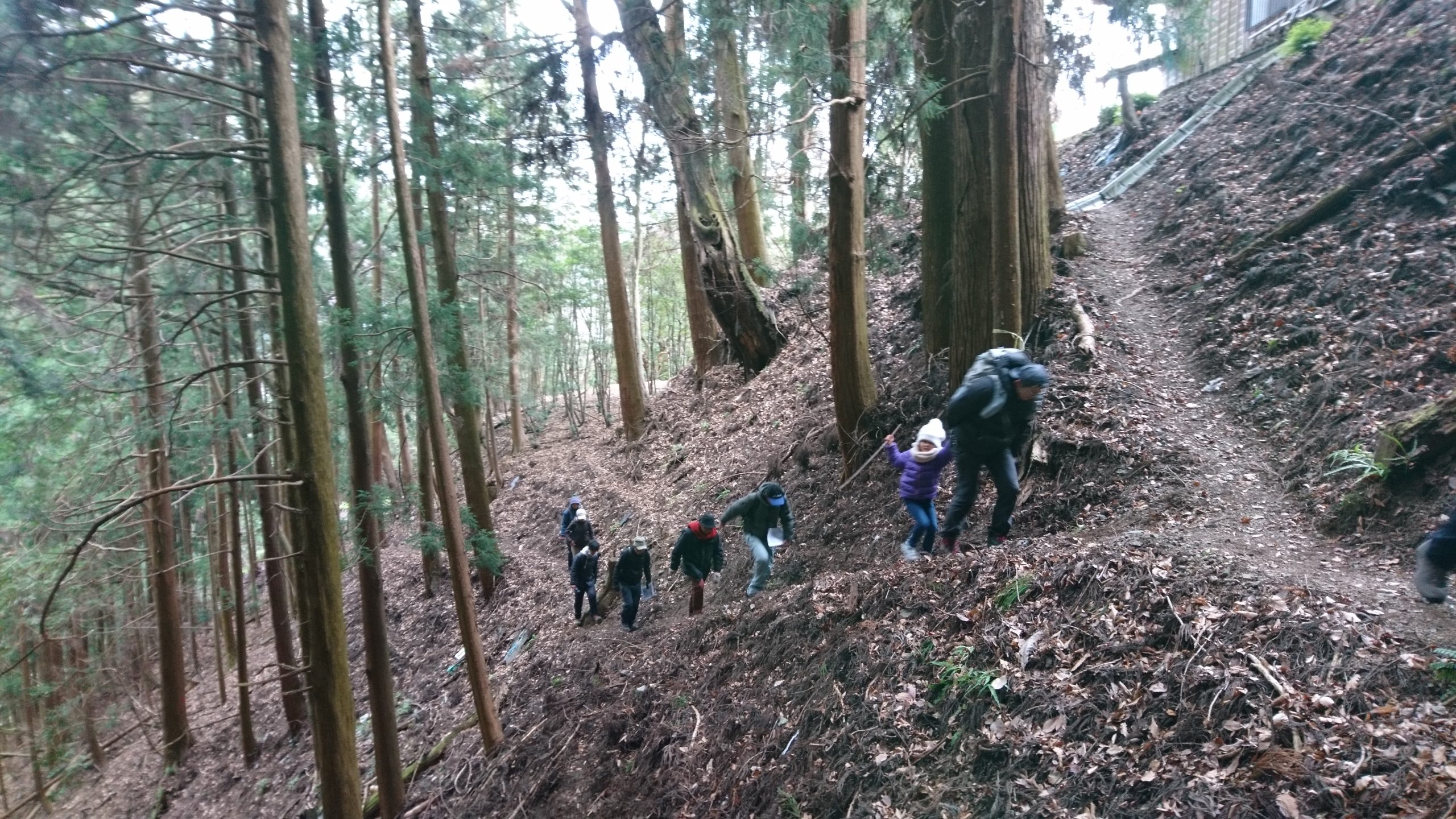 里山再生ボランティア入門講座「歩いて知る藤倉の伝統農業」 1月12日