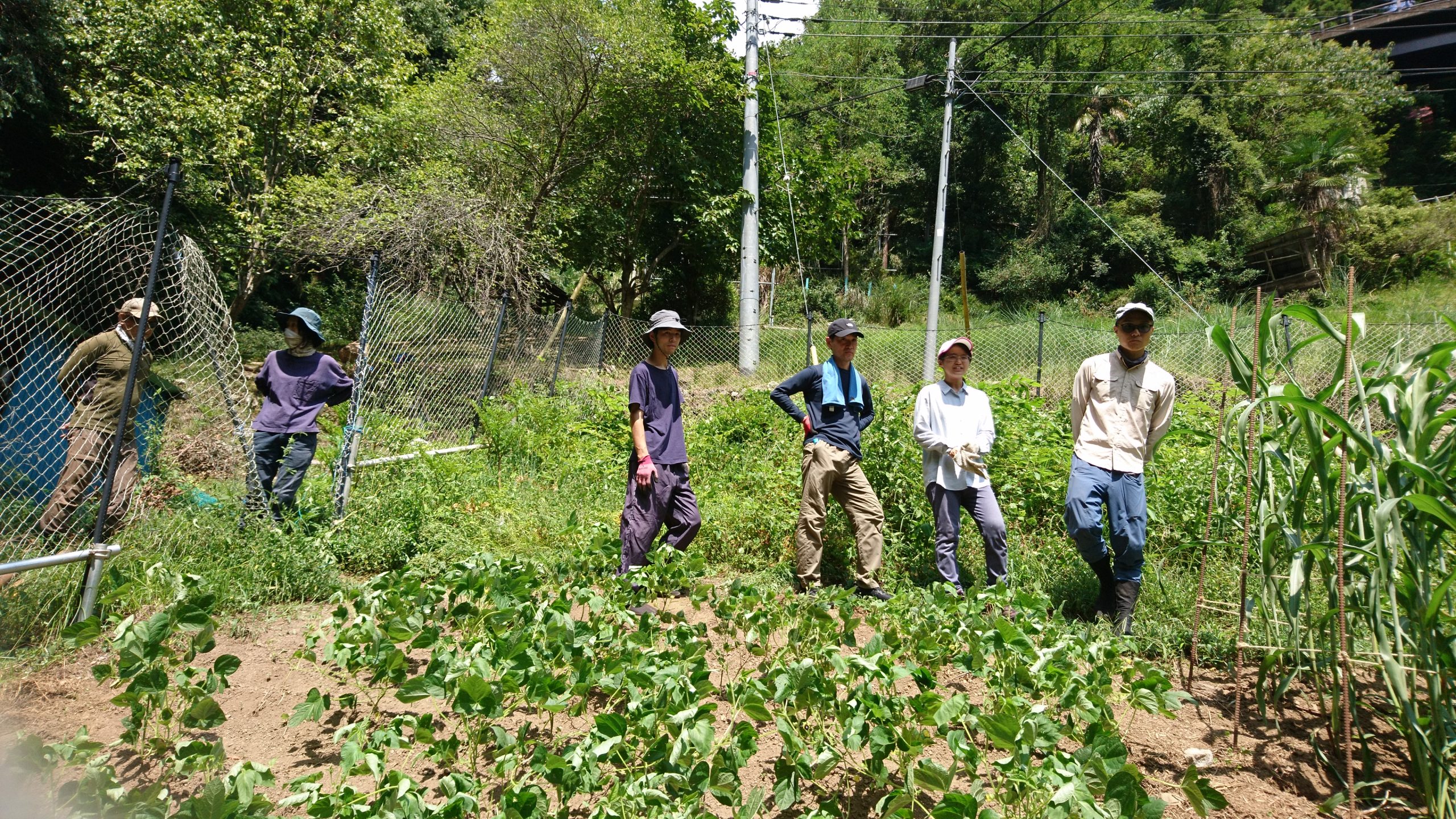 里山再生ボランティア入門講座「夏•秋編」報告　　 　