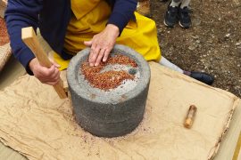 【参加者募集中！】2025 年度 ⾥⼭再⽣ボランティア⼊⾨講座 冬編（全5回）～⾥⼭の⾷⽂化と環境を考える～